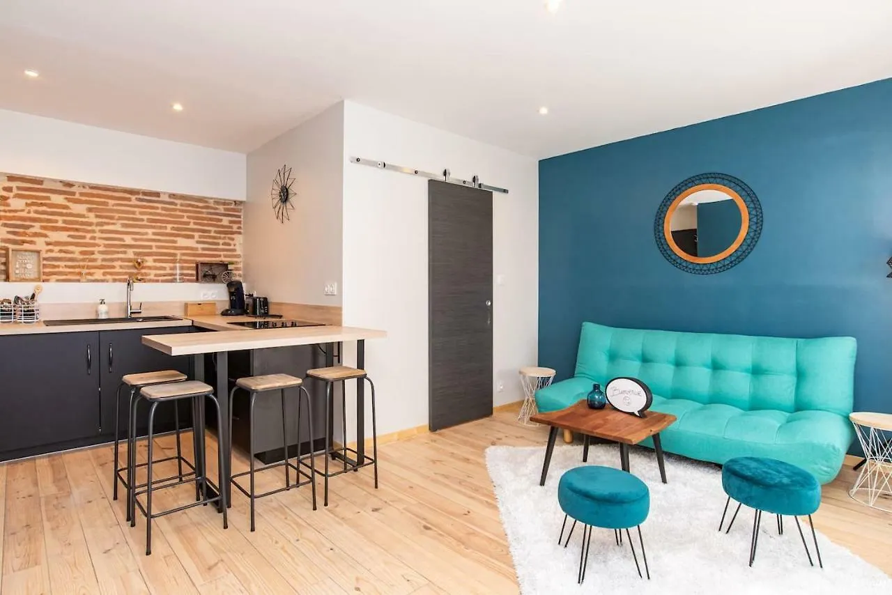 Immeuble Hyper Centre Apartment Montauban